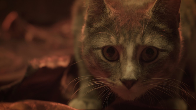 Still from The Primal